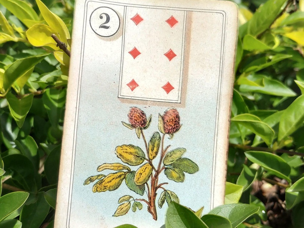 Website Blauw liggend 96